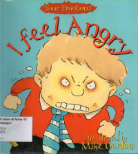 Image of I Feel Angry