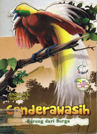 Cenderawasih : Burung dari Surga