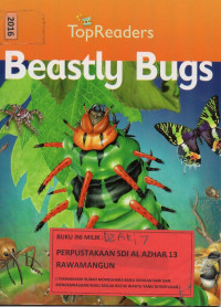 Beastly Bugs